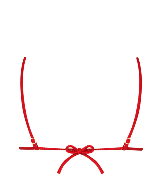 Sutiã Cortininha com metal frontal Dani